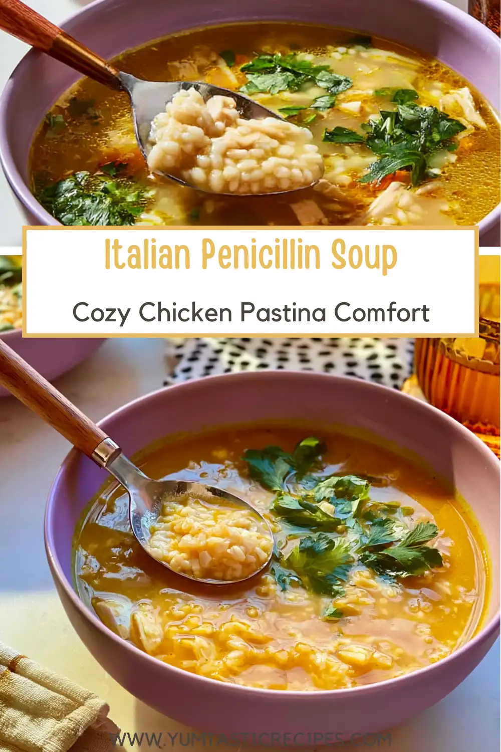Italian Penicillin Soup