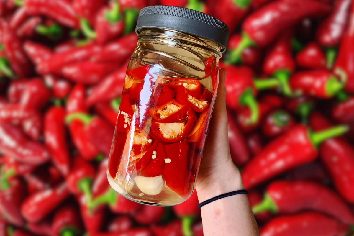 Pickled Fresno Chiles: Flavorful Recipes & Health Benefits - Yumtastic ...
