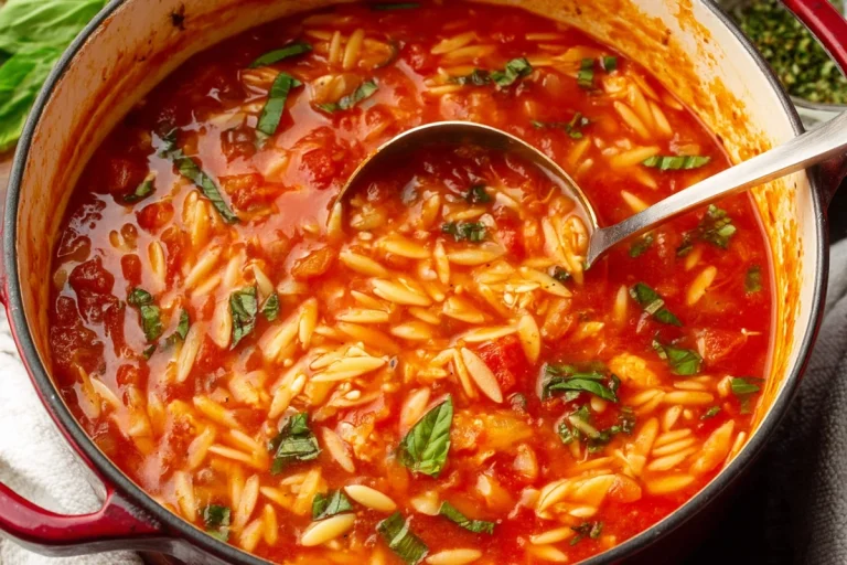 Chicken Orzo Tomato Soup