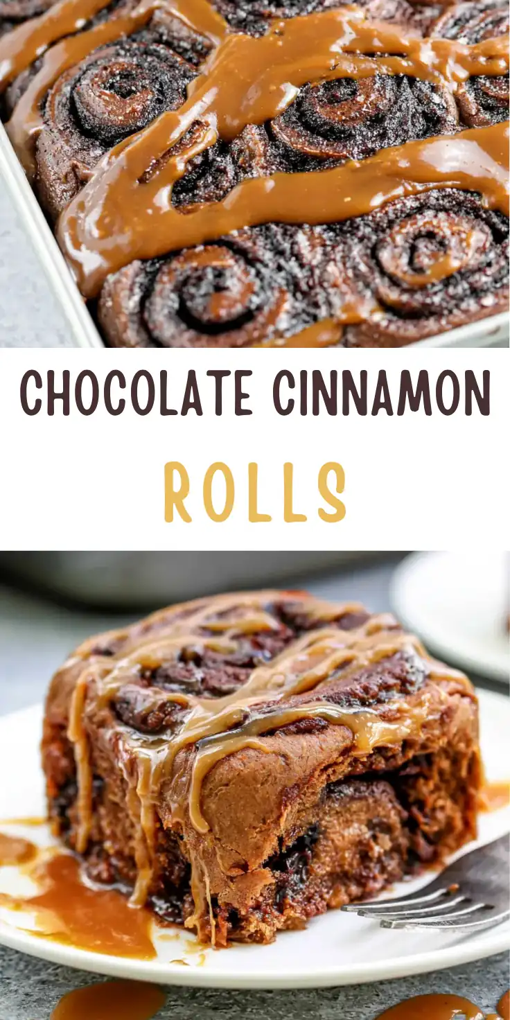 Chocolate Cinnamon Rolls with Rich Chocolate Glaze 6 Chocolate Cinnamon Rolls