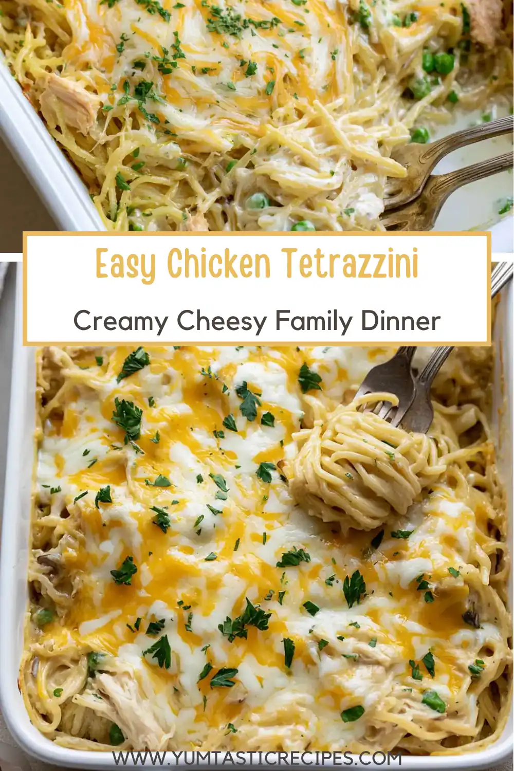 Easy Chicken Tetrazzini: Creamy, Cheesy Comfort Food 6 Easy Chicken Tetrazzini