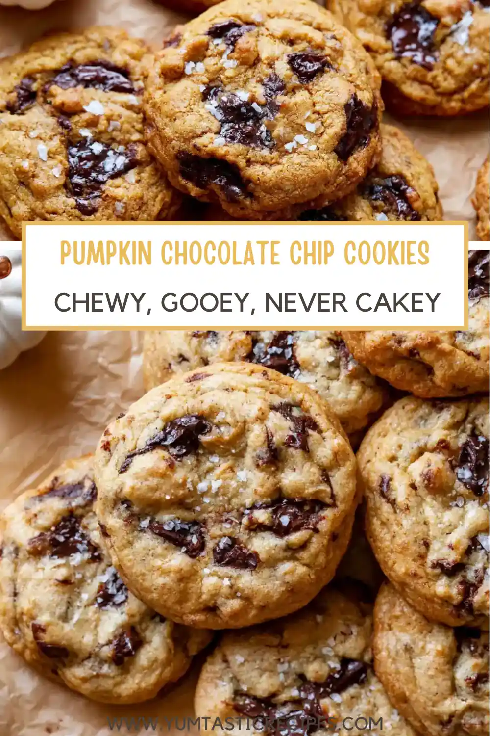 Pumpkin Chocolate Chip Cookies With Chewy Centers 6 PUMPKIN CHOCOLATE CHIP COOKIES