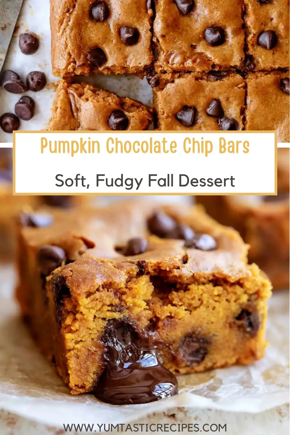 Pumpkin Chocolate Chip Bars: Soft, Fudgy, and Easy 6 Pumpkin Chocolate Chip Bars