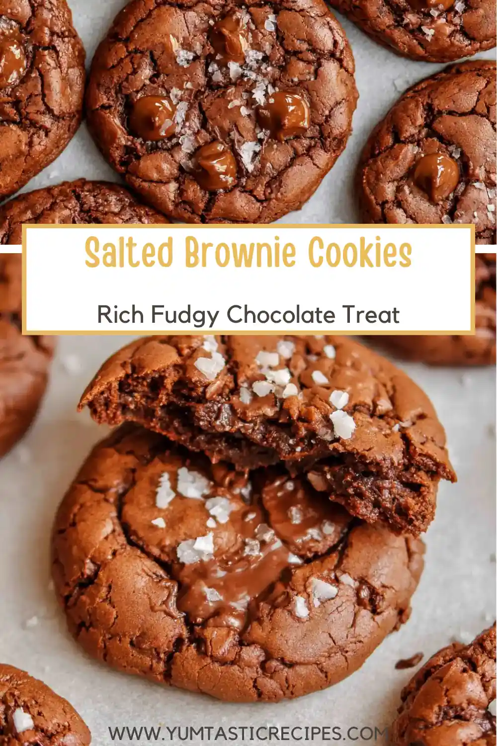 Salted Brownie Cookies with Fudgy Centers and Crackly Tops 6 Salted Brownie Cookies
