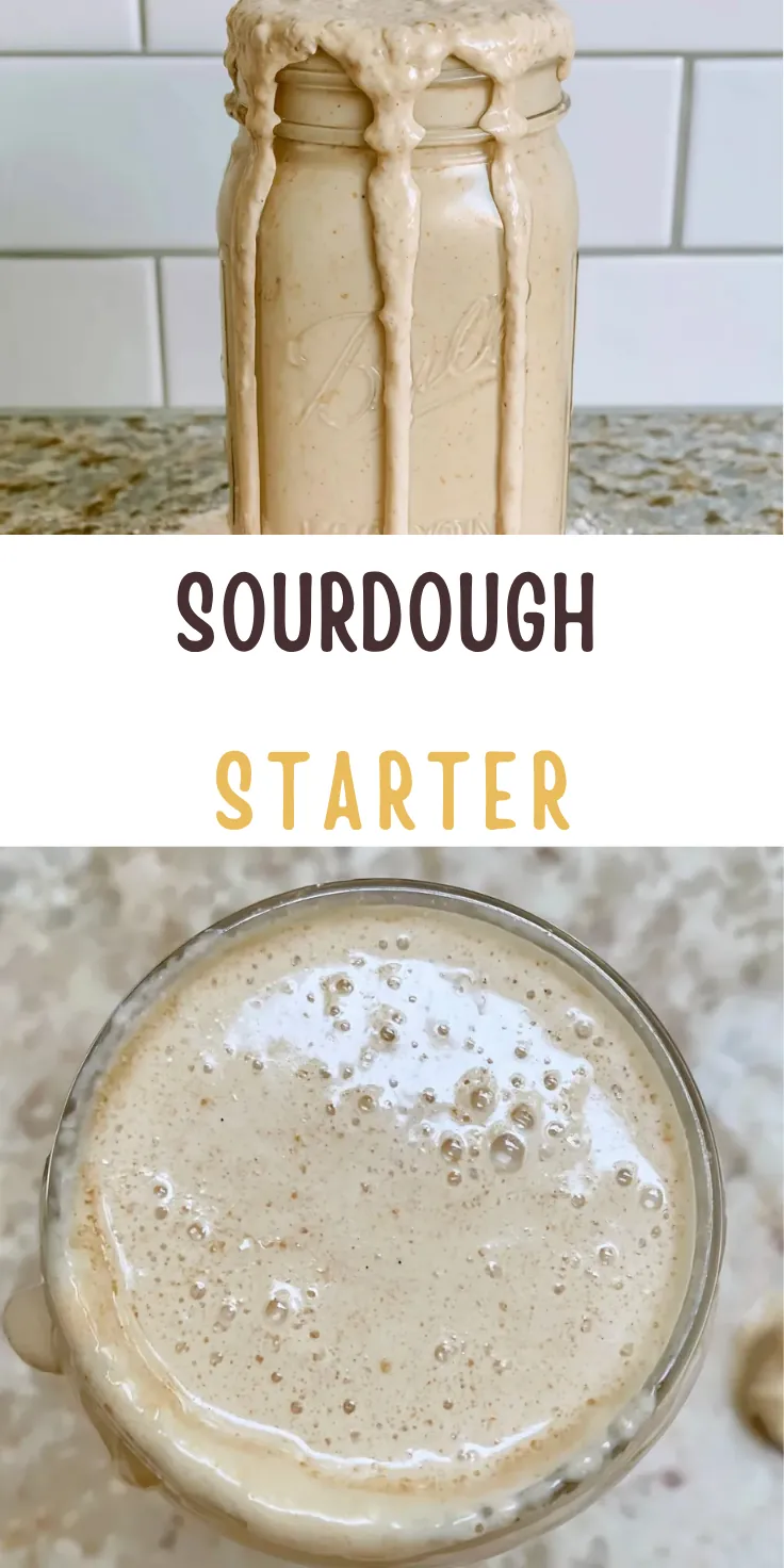 Sourdough Starter: An Easy 7-Day Beginner Recipe 6 Sourdough Starter