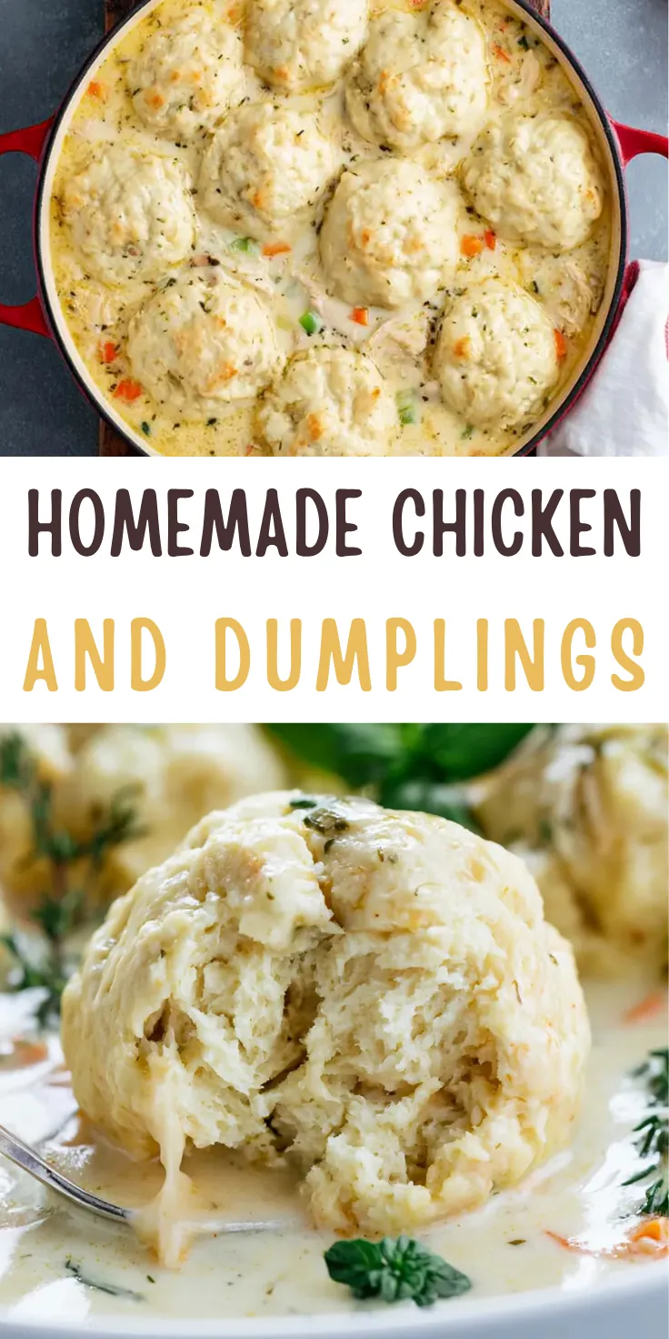 Homemade Chicken and Dumplings With Fluffy Drop Dumplings 6 Homemade Chicken and Dumplings