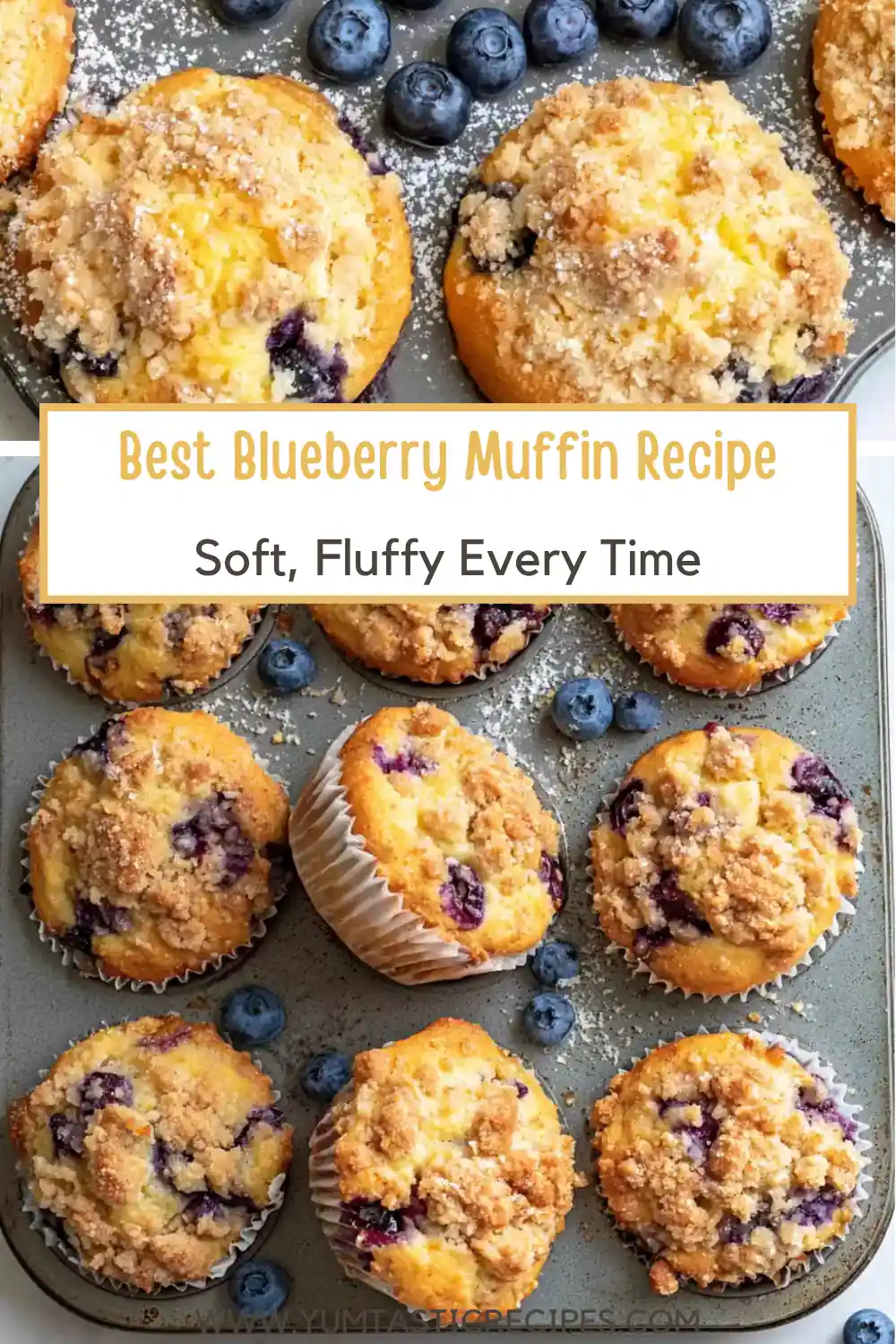 Best Blueberry Muffin Recipe