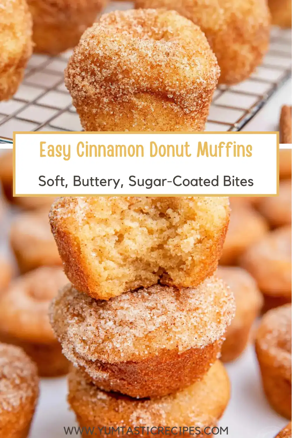Easy Cinnamon Donut Muffins with a Sweet Bakery-Style Coating 6 Easy Cinnamon Donut Muffins