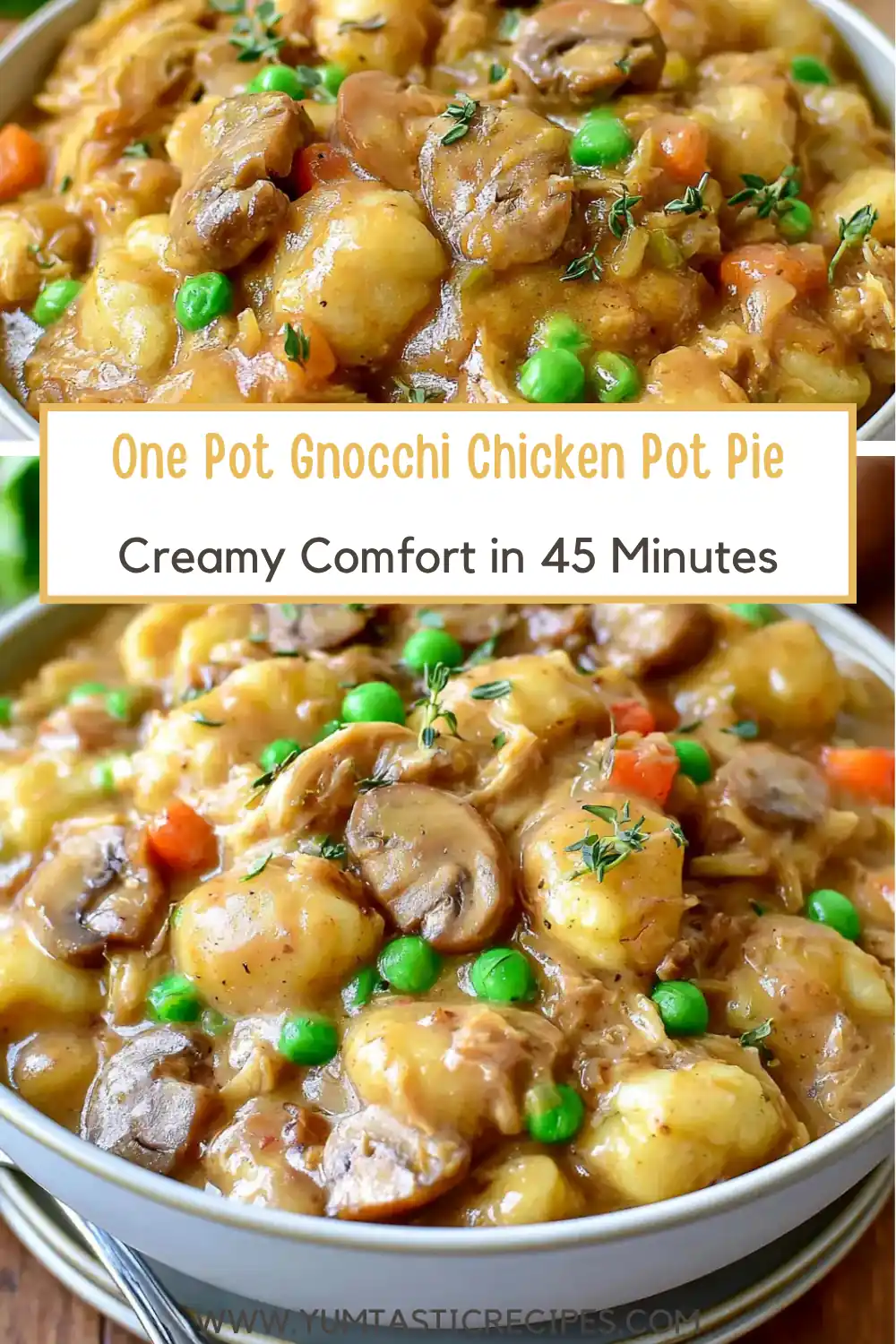 One Pot Gnocchi Chicken Pot Pie 6 One Pot Gnocchi Chicken Pot